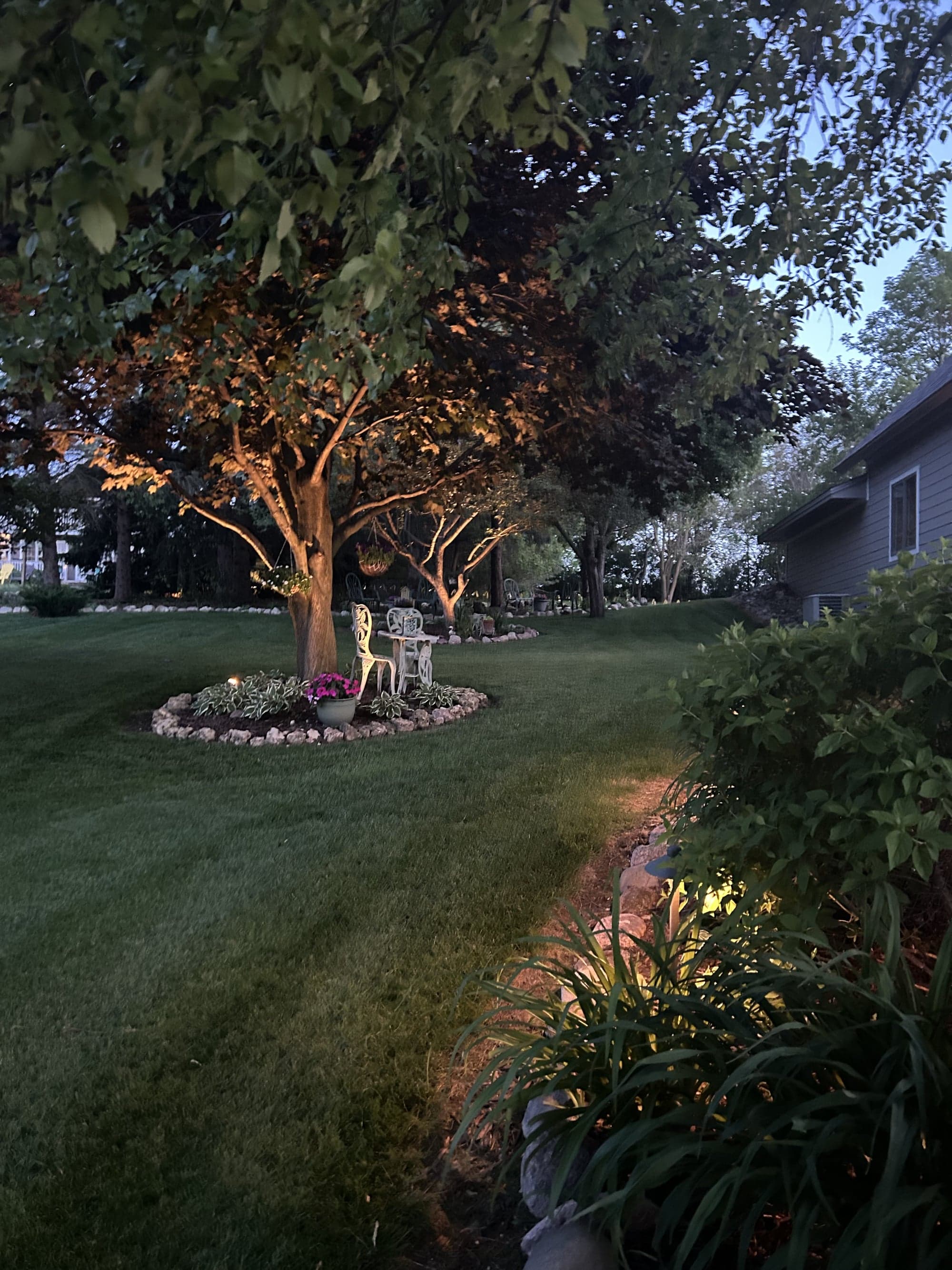 Mature maple tree uplit at twilight with lawn-bed path lighting along a stone-edged border
